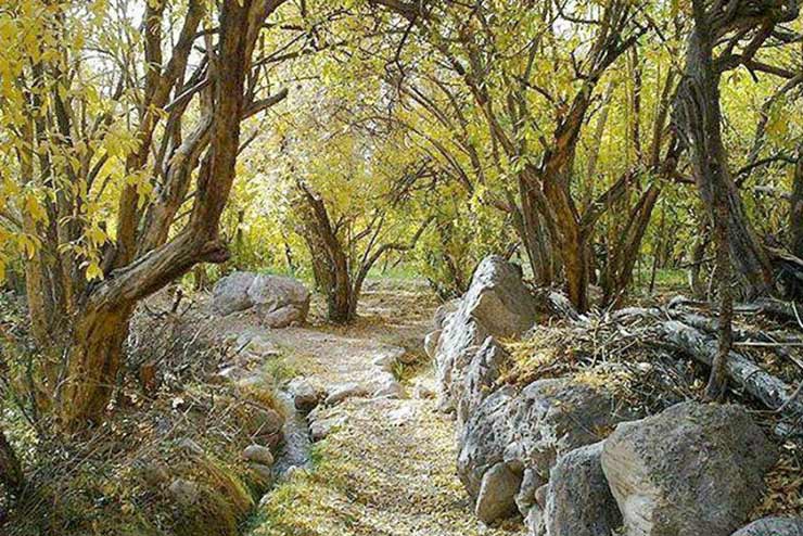 روستای قطرم یزد