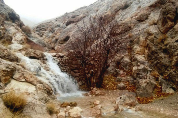روستای قطرم یزد