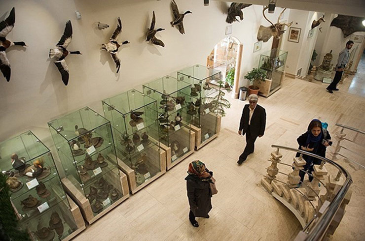 موزه حیات وحش دارآباد