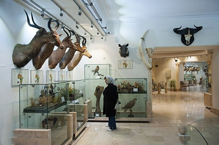 موزه حیات وحش دارآباد