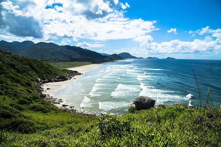 Ilha do Cardoso