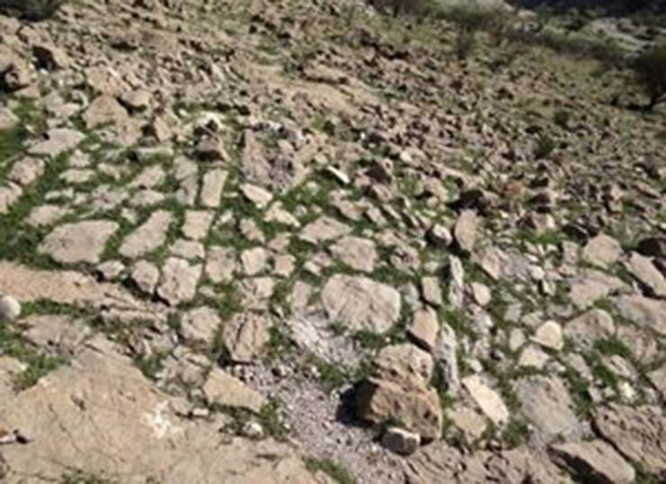 جاده ساسانی