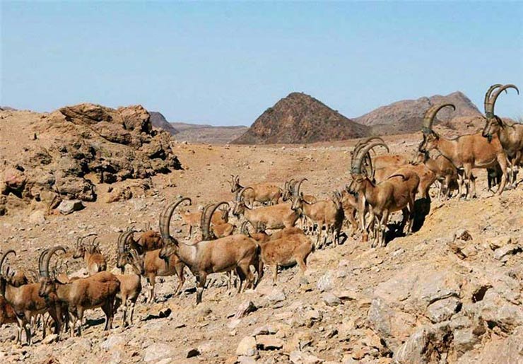 روستای قارنه اصفهان