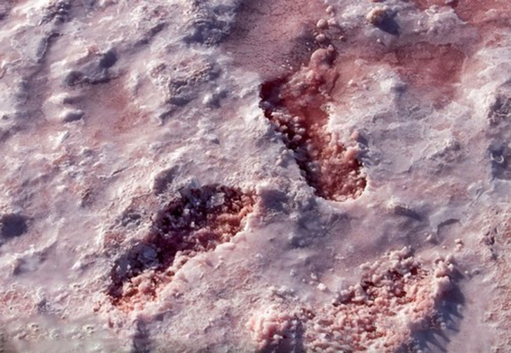 دریاچه مهارلو شیراز