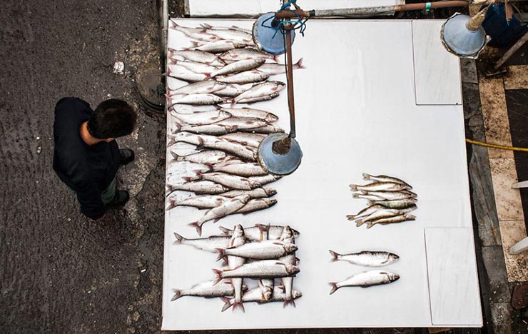 بازار ماهی فروشان انزلی