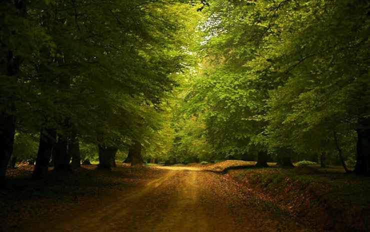 دهکده مازیچال کلاردشت