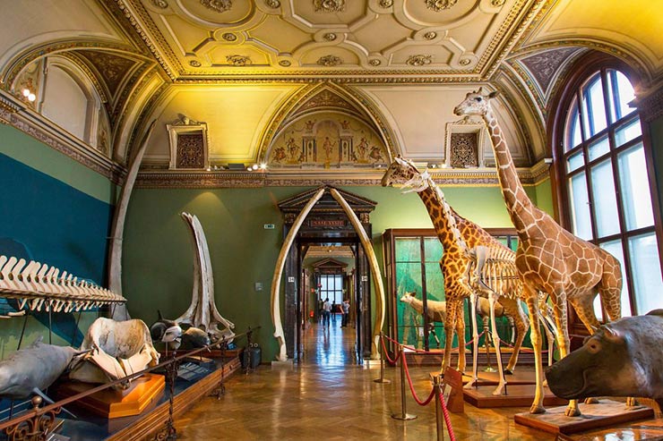 Seven Must-See Museums in Austria Art, music and open-air delights image: https://thumbs-prod.si-cdn.com/RFelHnNig5ttjJcPxLE3yJBT-dk=/800x600/filters:no_upscale()/https://public-media.smithsonianmag.com/filer/03/25/03251376-be81-470c-ac01-a15130b3e9b0/kunst889.jpg Kunsthistorisches Museum Vienna’s Kunsthistorisches Museum was commissioned by a Hapsburg Emperor—and it shows. (Atlantide Phototravel/Corbis) By Erin Blakemore SMITHSONIAN.COM AUGUST 14, 2017 2530400480 Austria’s cultural impact far exceeds the country’s small size. From the 18th through the early 20th century, it was home to some of the world’s most famous artists and musicians, giving rise to or hosting greats like Beethoven, Mozart and Gustav Klimt. The flourishing of the arts was due in large part to the support of the Habsburg monarchs, whose love of grandiose architecture, music and art collecting transformed Austria, and particularly Vienna, into a cultural capital. Luckily, many of these great works, as well as pieces from the 20th century Art Nouveau and Actionism movements are now on display in the country’s superb museums. Beyond the visual arts, Austria’s many museums house massive natural history collections and fascinating portals to the past. With so many good options, it can be hard for a museum-lover to choose just one...or two...or three. Whether you’re in the country for a few days or a few months, here are seven museums you won’t want to miss: Kunsthistorisches Museum, Vienna image: https://thumbs-prod.si-cdn.com/Xs-NRtHRJAJgmMesqJ8CkbQbtFg=/60x60/https://public-media.smithsonianmag.com/filer/ae/3a/ae3a904e-5434-4646-81d7-30f6abf96d7d/42-58076124.jpg image: https://thumbs-prod.si-cdn.com/pOtCAxnts4fjO0pT_dHYYtZiq10=/60x60/https://public-media.smithsonianmag.com/filer/03/25/03251376-be81-470c-ac01-a15130b3e9b0/kunst889.jpg image: https://thumbs-prod.si-cdn.com/t4uIwZLAbngNpiEGhp7_zgehnM8=/60x60/https://public-media.smithsonianmag.com/filer/1a/94/1a941f1c-1d97-44f4-8294-72bb96298494/42-57861729.jpg image: https://thumbs-prod.si-cdn.com/3G4PZAuo2eJAqxK9dTiFzdfTQgM=/60x60/https://public-media.smithsonianmag.com/filer/86/7d/867d4598-27f8-4adf-9e17-e2b5bc8845db/42-74713066.jpg image: https://thumbs-prod.si-cdn.com/JpwL5zQnR3GAtWxz04Et9NE9XQ8=/fit-in/1072x0/https://public-media.smithsonianmag.com/filer/1a/94/1a941f1c-1d97-44f4-8294-72bb96298494/42-57861729.jpg Interior dome view in the staircase, Kunsthistorisches Museum. (Helmut Meyer zur Capellen/imageBROKER/Corbis) image: https://thumbs-prod.si-cdn.com/nGyYy1eZk-6Bi-uj2qGsIpCQm2w=/fit-in/1072x0/https://public-media.smithsonianmag.com/filer/86/7d/867d4598-27f8-4adf-9e17-e2b5bc8845db/42-74713066.jpg A bust of Emperor Franz Joseph I. by Caspar Zumbusch at the Kunsthistorisches Museum. (Karl F. Schöfmann/imageBROKER/Corbis) Art lovers won’t want to miss the crown jewel of Austria’s museum scene—a museum with an interior that’s as stunning as its collection. Also known as the Museum of Fine Arts, the Kunsthistorisches Museum Wien was founded to show off the Habsburgs’ lavish array of artworks. Opened in 1891, in a building commissioned by Emperor Franz Joseph I, the museum’s perminant displays include works by Michelangelo, Rubens, Rembrandt, Dürer and Raphael. The museum is best known for its large collection of paintings by Northern Renaissance master Pieter Bruegel the Elder. “Hunters in the Snow” shows Bruegel’s take on a chilly, pastoral Dutch peasant scene—a taste of idyllic country life that’s one of Bruegel’s most famous works. Other collection highlights include antiquities, coins and historic musical instruments. If you can’t visit Vienna, you can still view some of the Kunsthistorisches Museum’s best works: Google has digitized some of its collection and offers a virtual view of its interior. Naturhistorisches Museum, Vienna Read more: https://www.smithsonianmag.com/travel/seven-must-see-museums-austria-180957381/#b3WhKwx8BjQEibju.99 Give the gift of Smithsonian magazine for only $12! http://bit.ly/1cGUiGv Follow us: @SmithsonianMag on Twitter