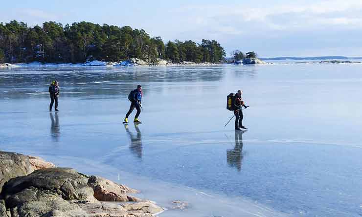 Nordic skating