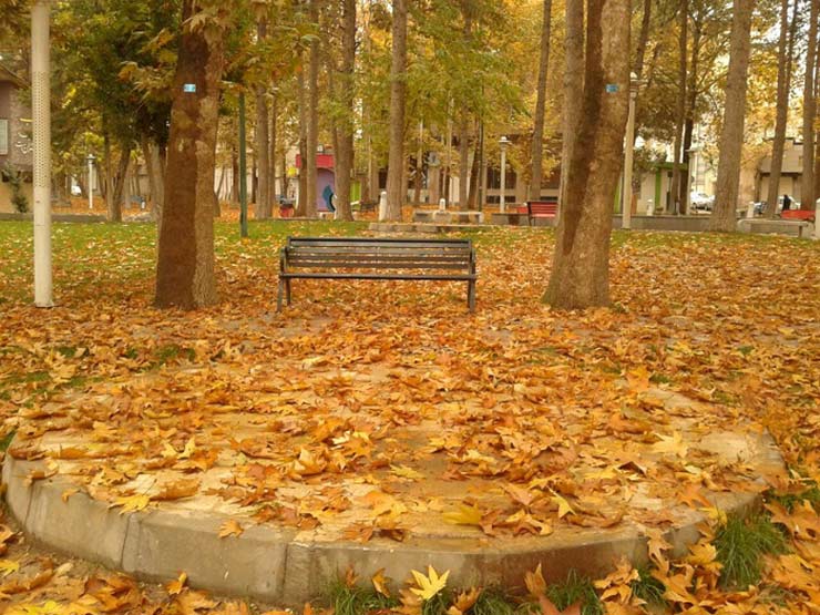 پارک کودک در ایلام