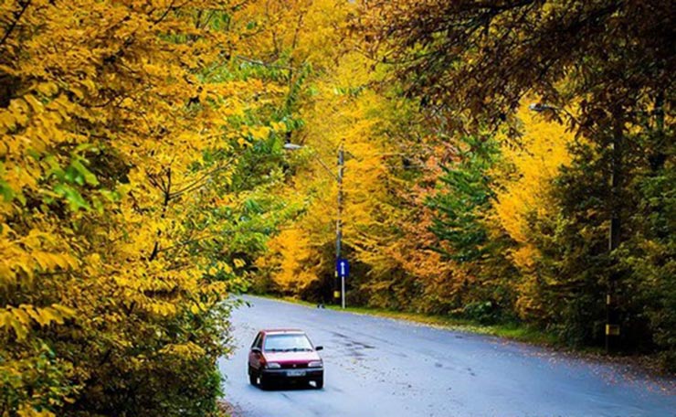 نتیجه تصویری برای پارک جنگلی النگدره