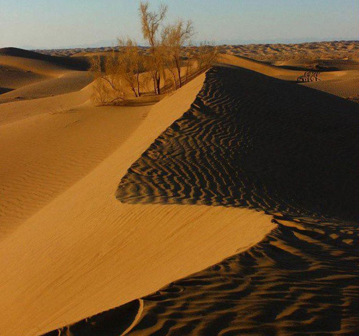 کویر ریگ جن