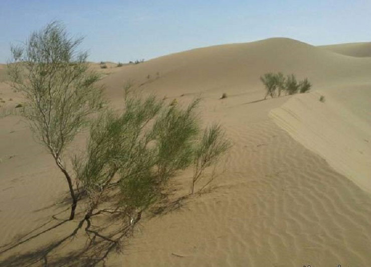 کویر ریگ جن
