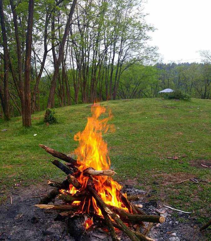 جنگل سراوان رشت
