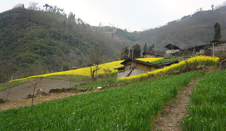 روستای زرگر تهران